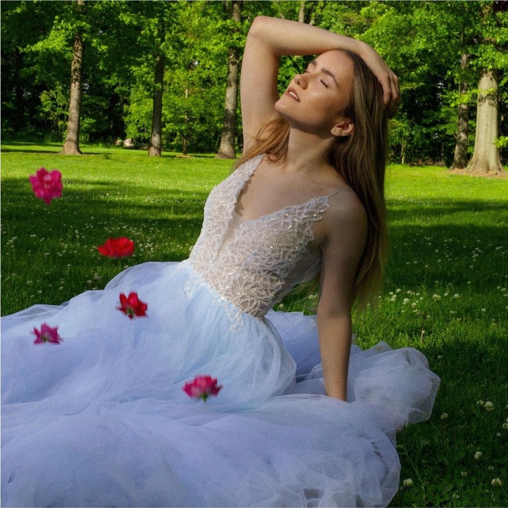 Vienna Prom Dress / Ballgown